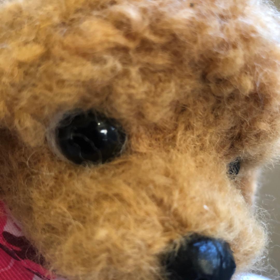 大きなサイズ 羊毛フェルト ハンドメイド 茶色プードル 巻き毛がキュートな子です