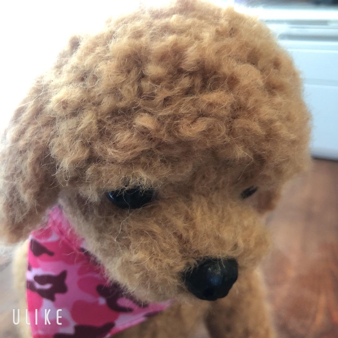 大きなサイズ 羊毛フェルト ハンドメイド 茶色プードル 巻き毛がキュートな子です