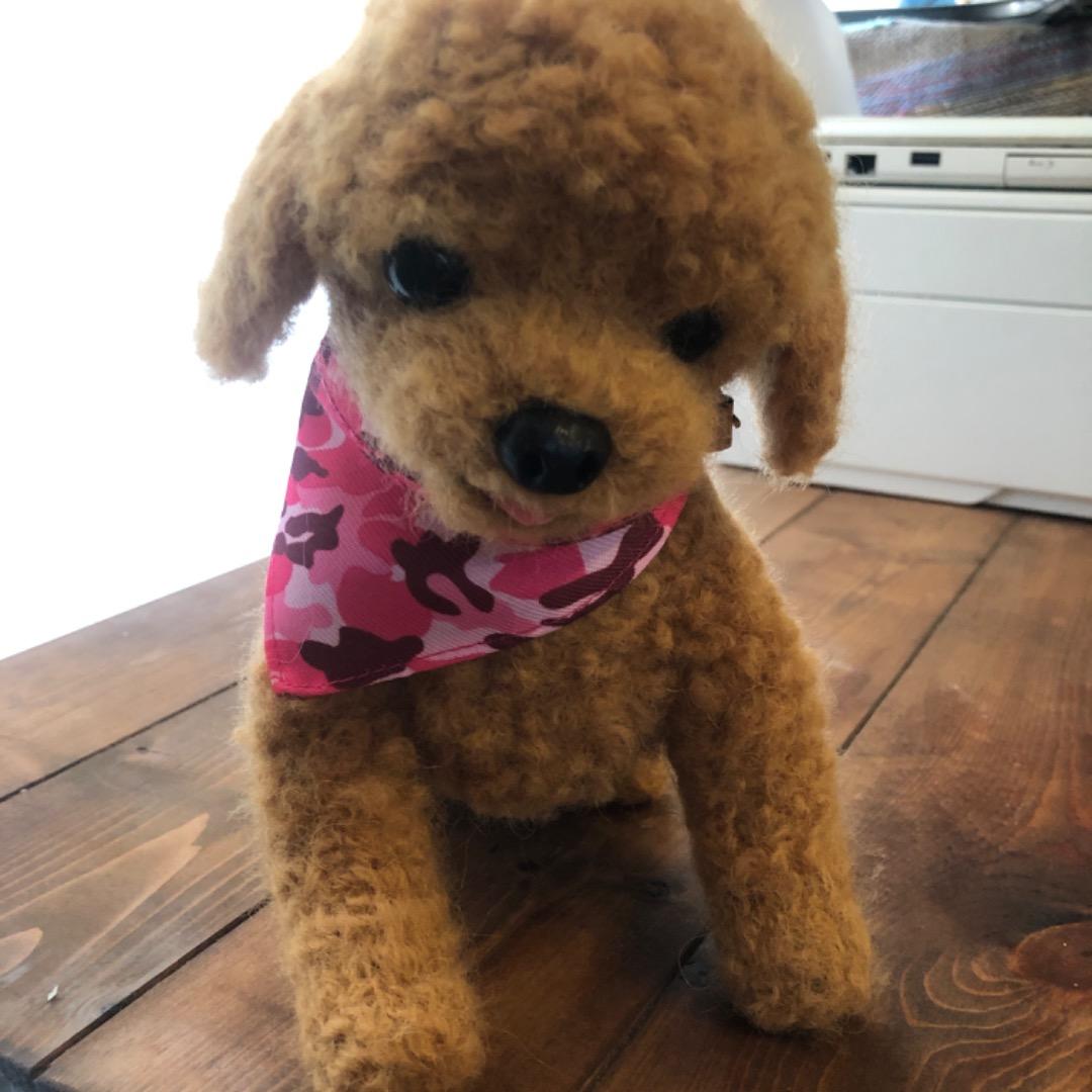 大きなサイズ 羊毛フェルト ハンドメイド 茶色プードル 巻き毛がキュートな子です