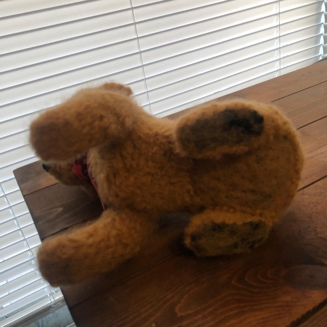 大きなサイズ 羊毛フェルト ハンドメイド 茶色プードル 巻き毛がキュートな子です