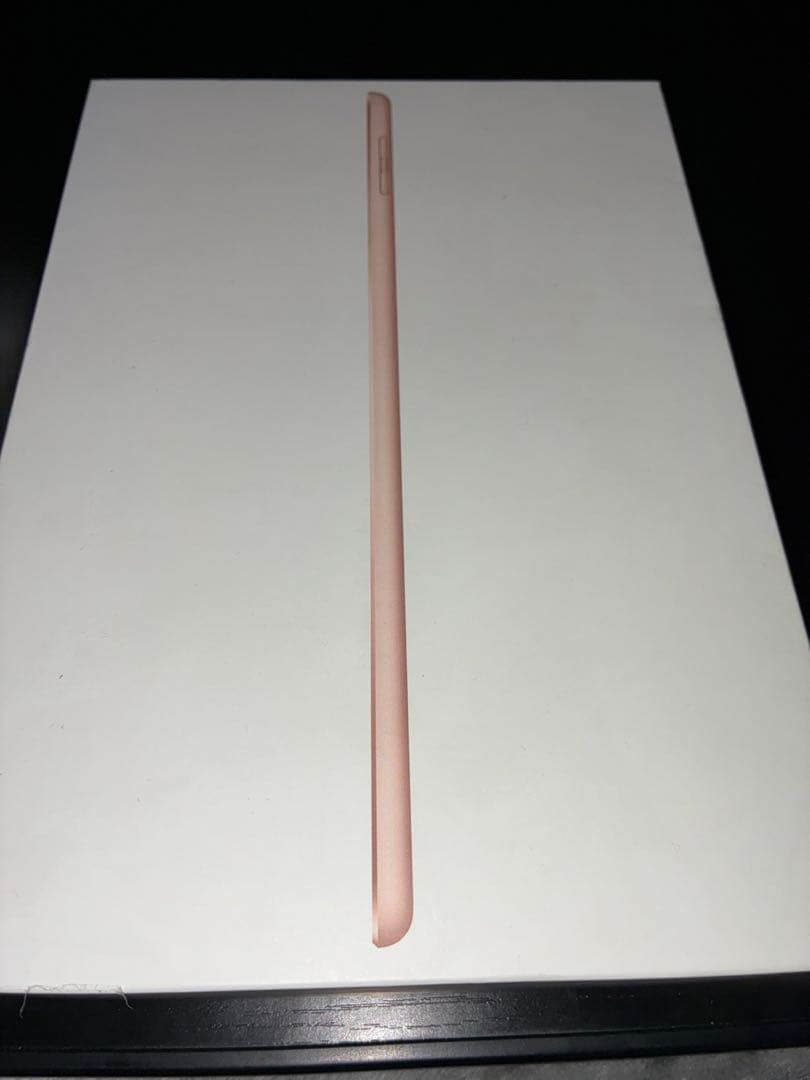 iPad (第6世代) シャンパンゴールド 128GB(カバーケース付属)