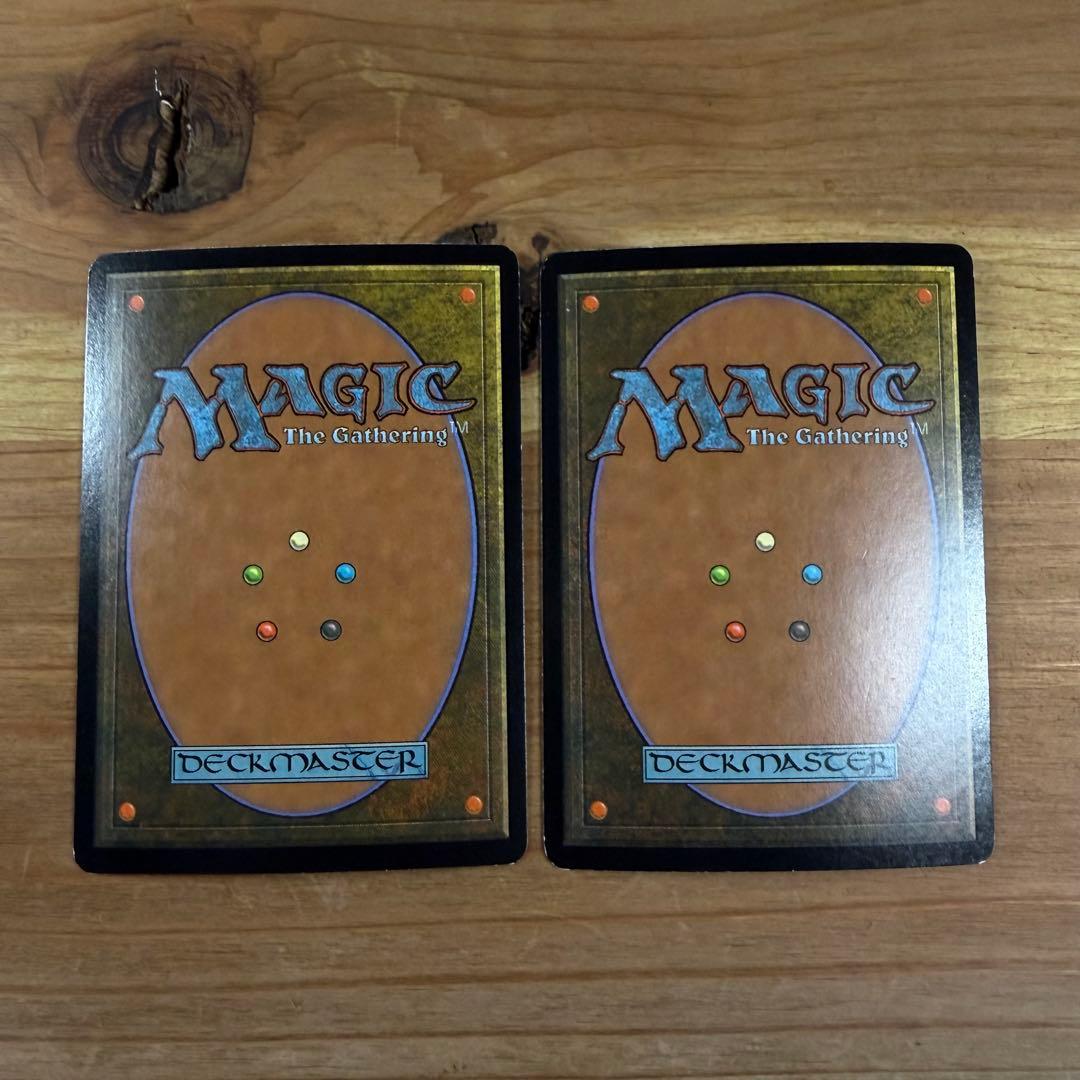 平地 Plains アリーナ Arena Foil 英語 2枚 MTG