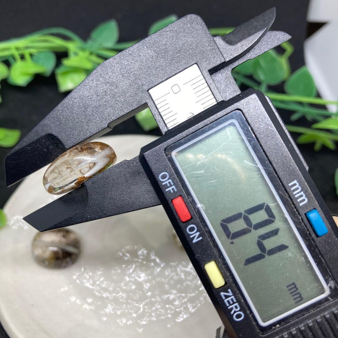 フラワールチル選んでください