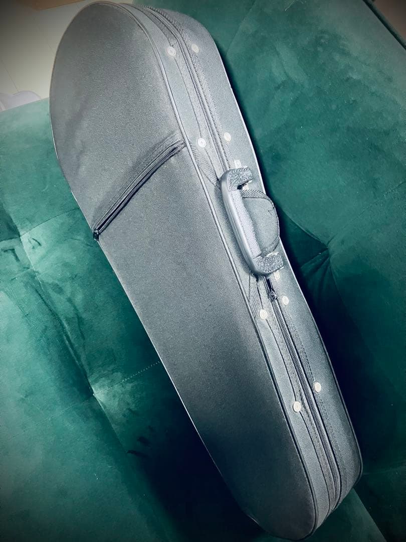 【新同品】The Loar LM-520 VS フラットマンドリン