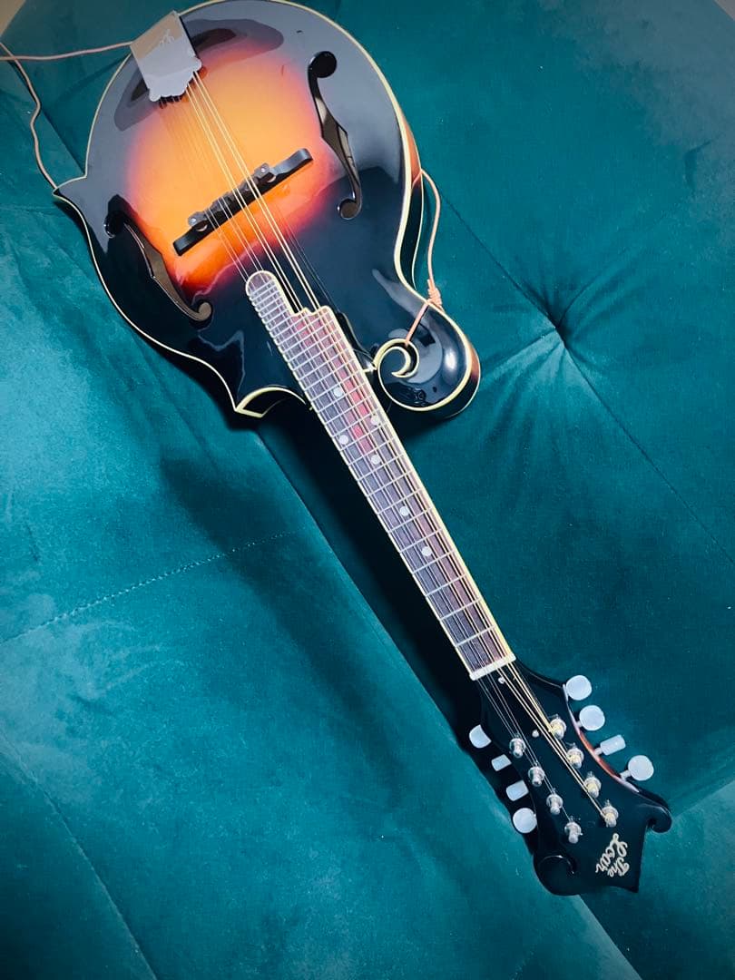 【新同品】The Loar LM-520 VS フラットマンドリン