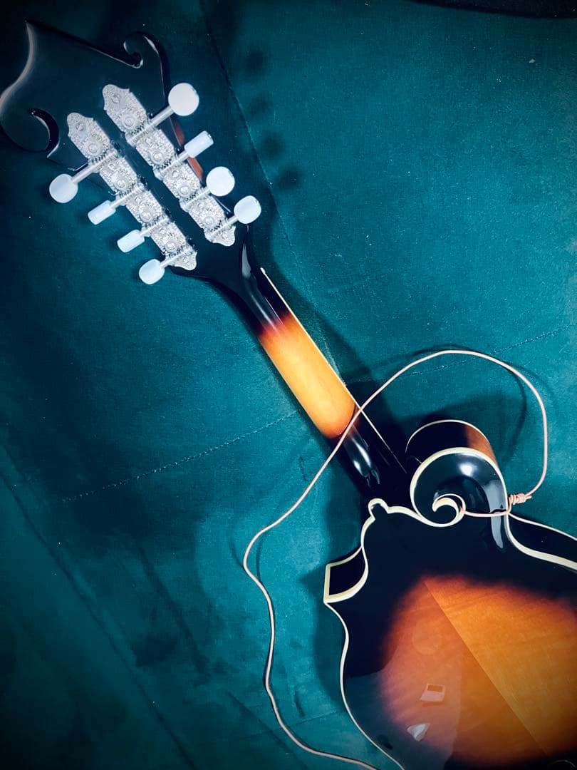 【新同品】The Loar LM-520 VS フラットマンドリン