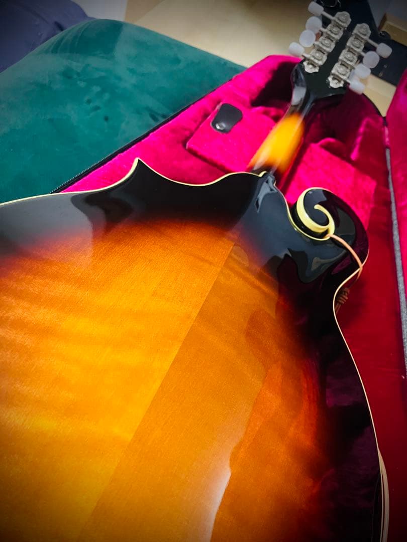 【新同品】The Loar LM-520 VS フラットマンドリン
