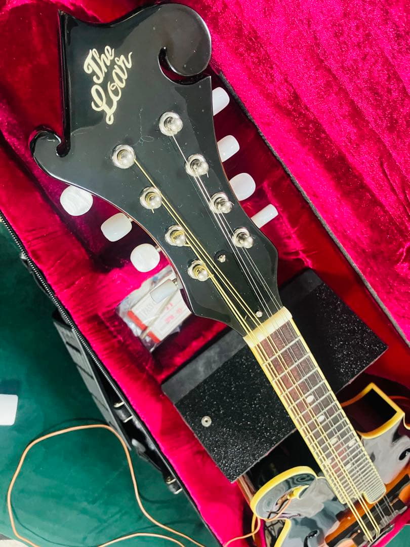 【新同品】The Loar LM-520 VS フラットマンドリン