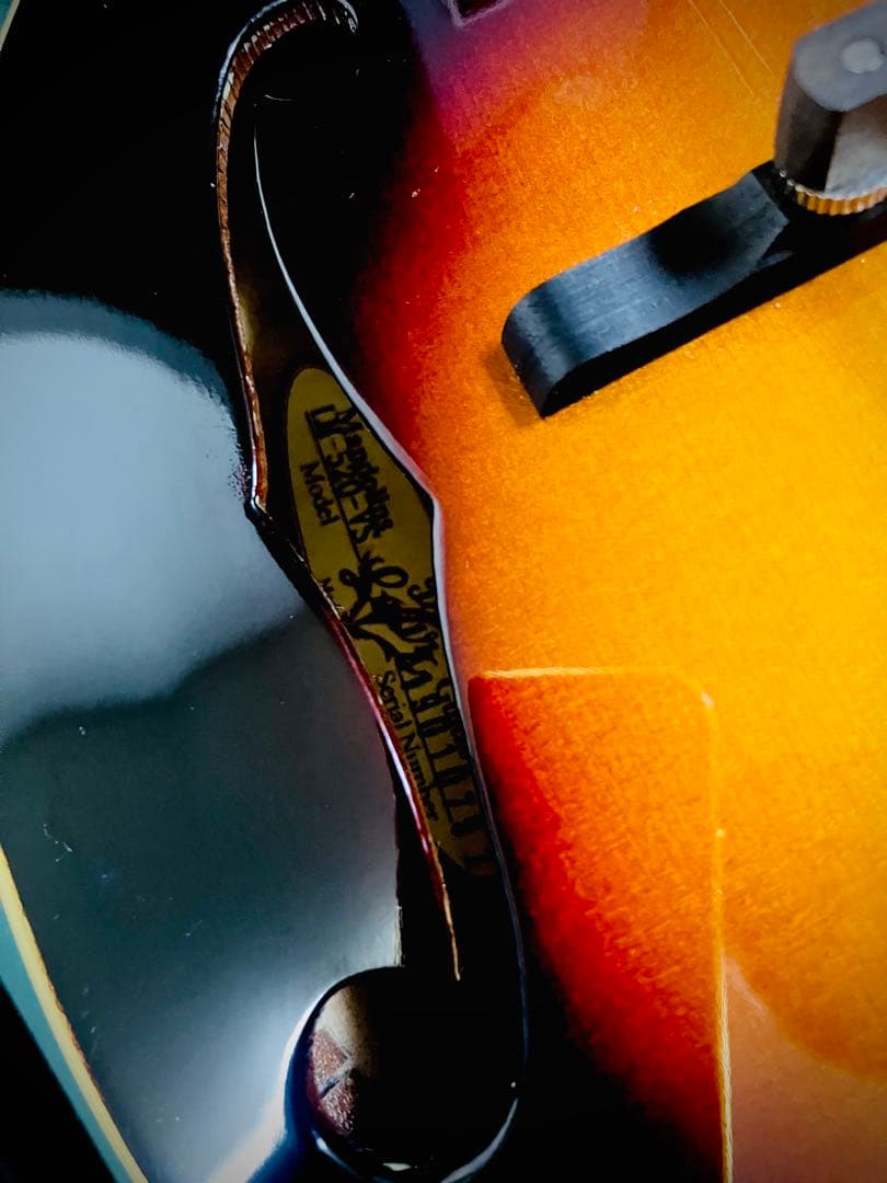 【新同品】The Loar LM-520 VS フラットマンドリン