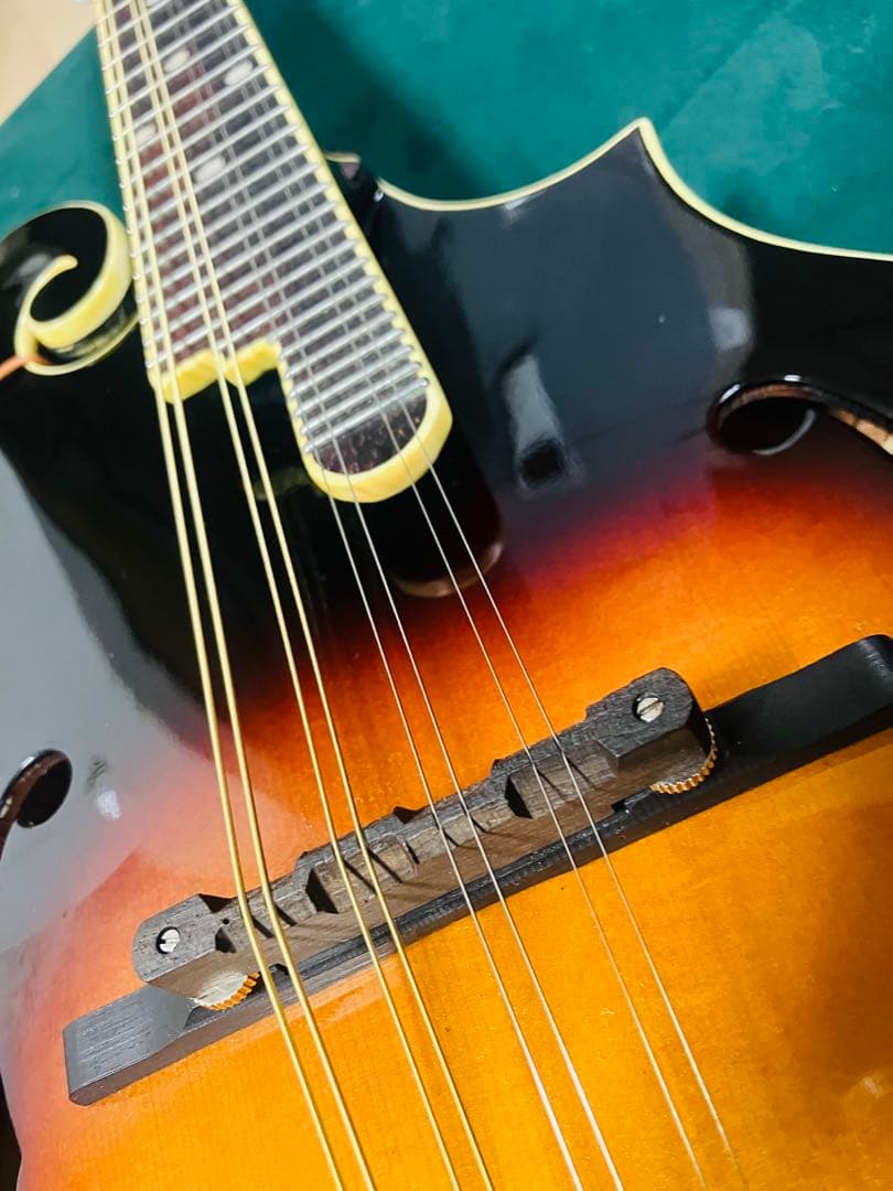 【新同品】The Loar LM-520 VS フラットマンドリン