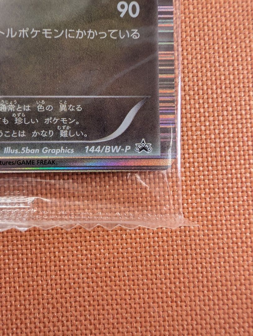 未開封　ポケモンカード レックウザ 信長の野望 特典