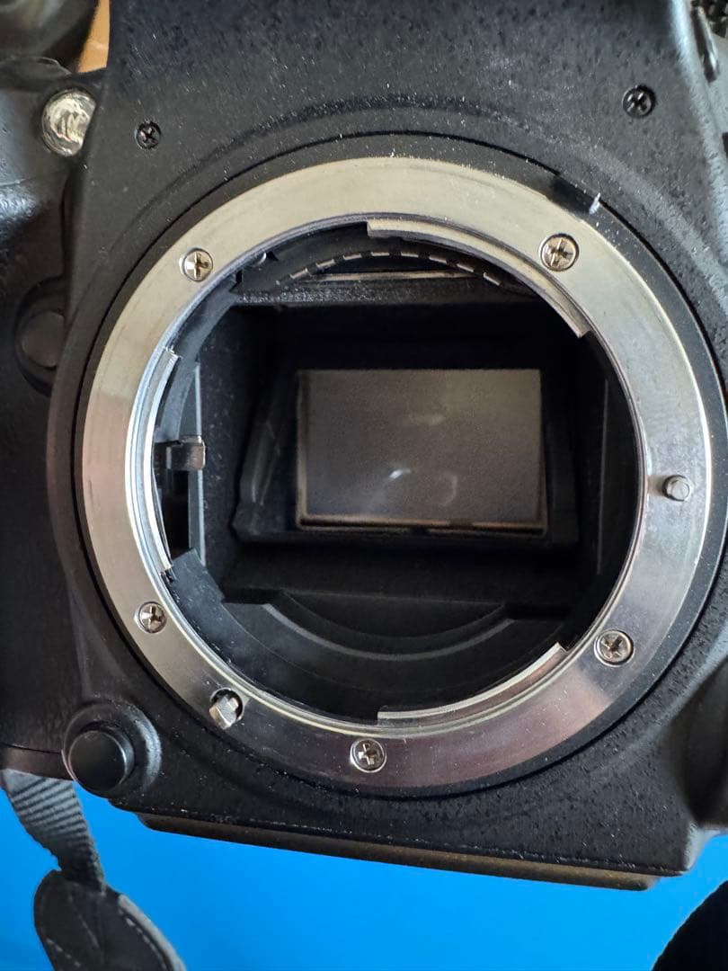 Nikon D610＋タムロン28-300mm F/3.5-6.3