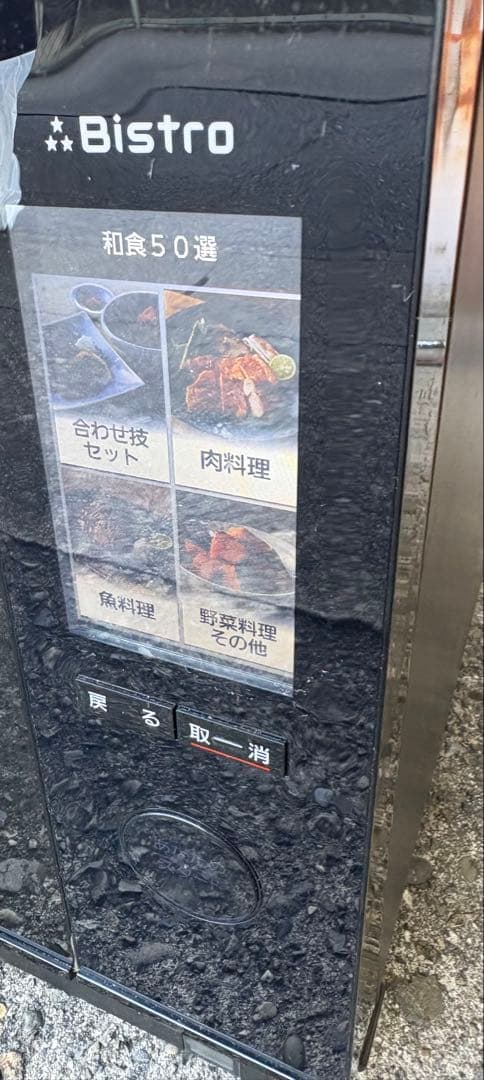 Panasonic スチームオーブンレンジ Bistro 電子レンジ 1000W