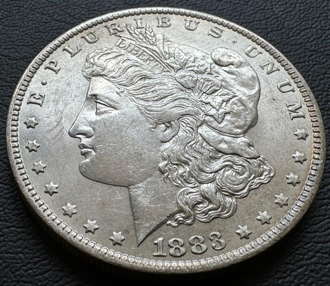 1883年アメリカ　モルガンドル銀貨