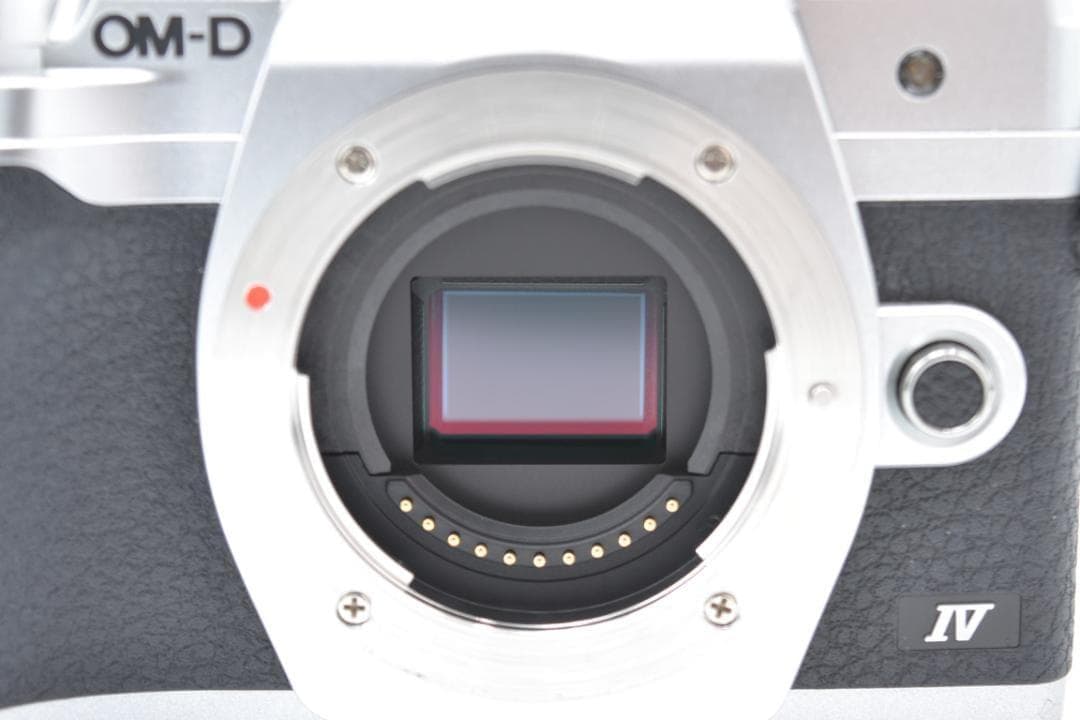■ 美品 ■ オリンパス　OM-D E-M10 Mark Ⅳ ボディ