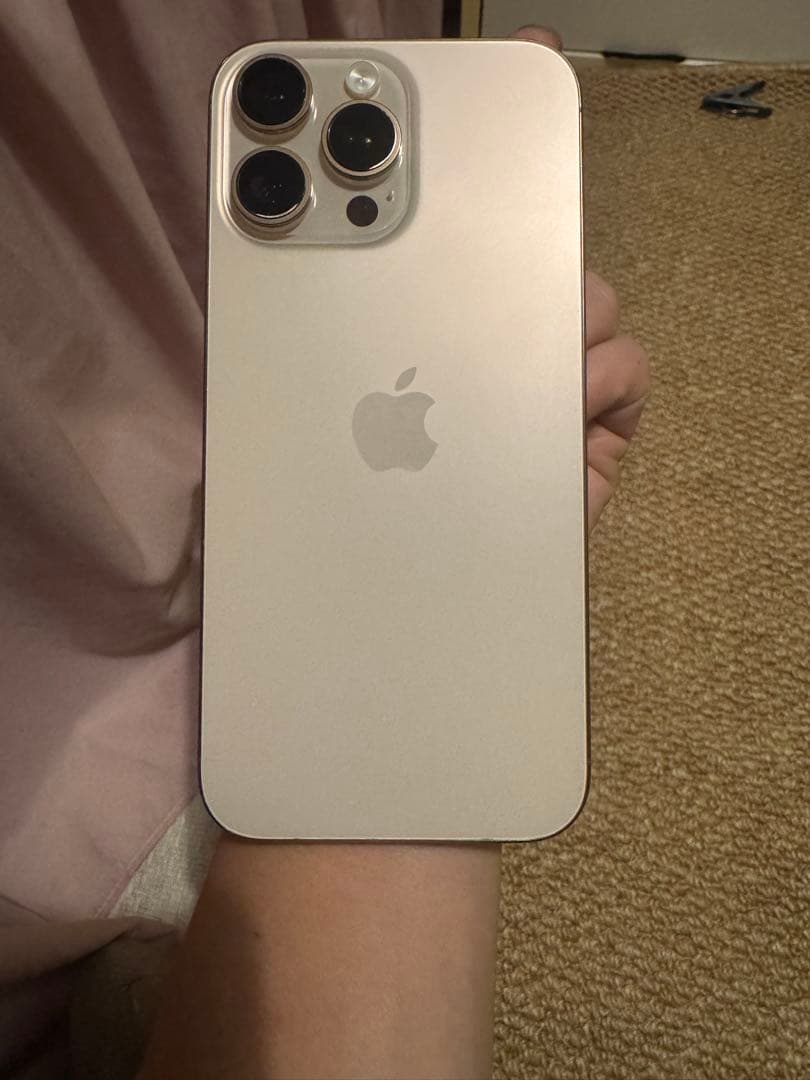 海外版iPhone 16 Pro Max 256GB,極美品, 充電回数は1回