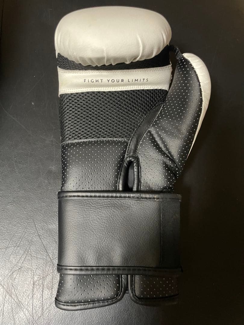 パッキャオTEAM 直筆サイン入り ボクシンググローブ 10 oz右のみ
