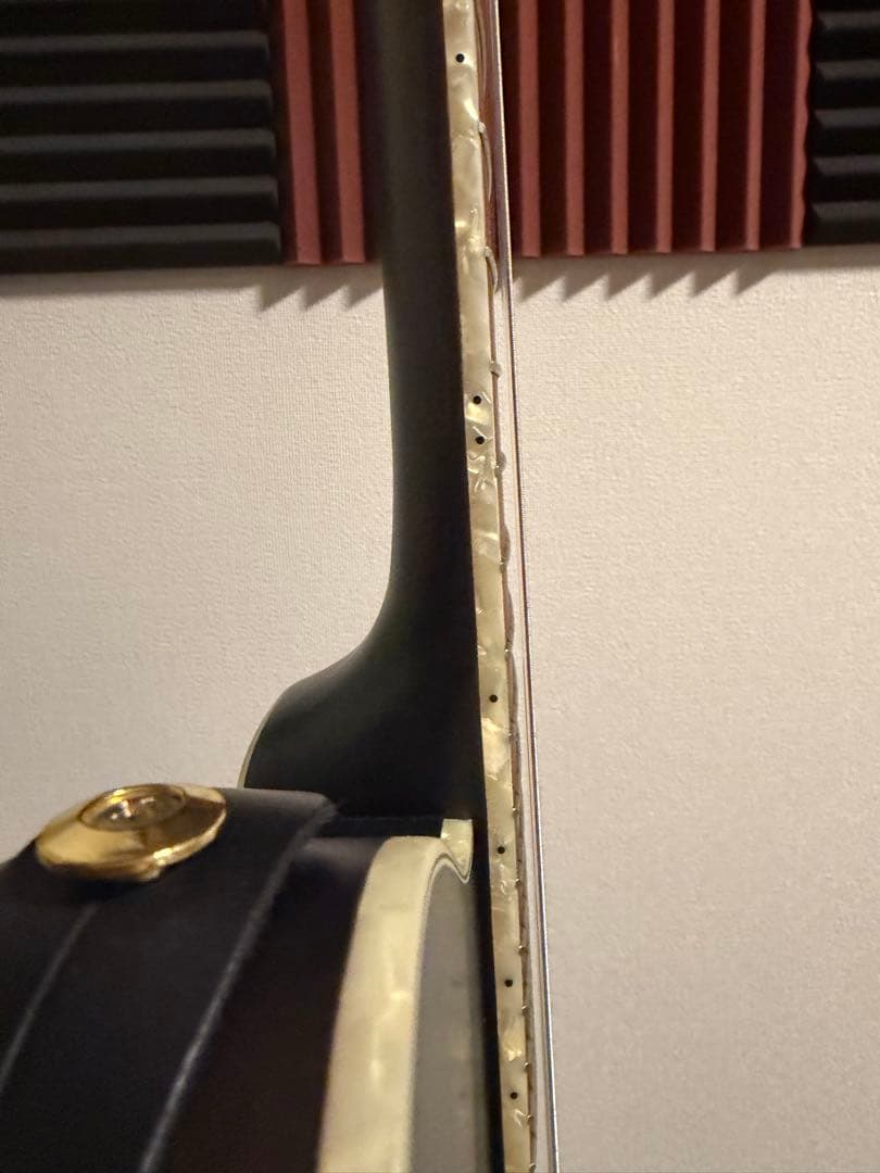 Ibanez TOD10N-TKF Tim Hensonモデル ナイロン弦ギター