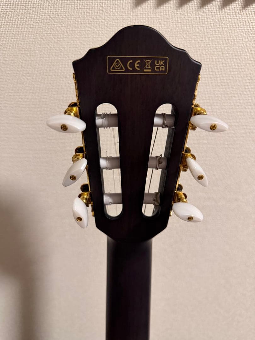 Ibanez TOD10N-TKF Tim Hensonモデル ナイロン弦ギター