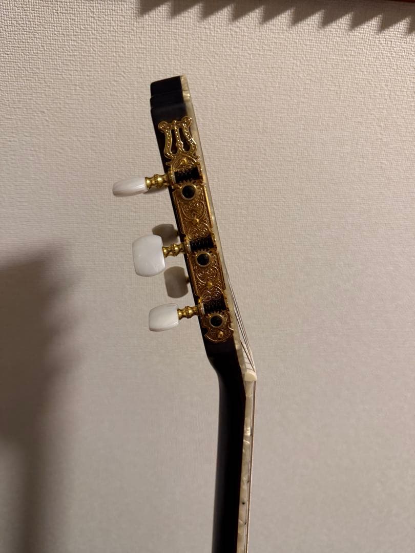 Ibanez TOD10N-TKF Tim Hensonモデル ナイロン弦ギター