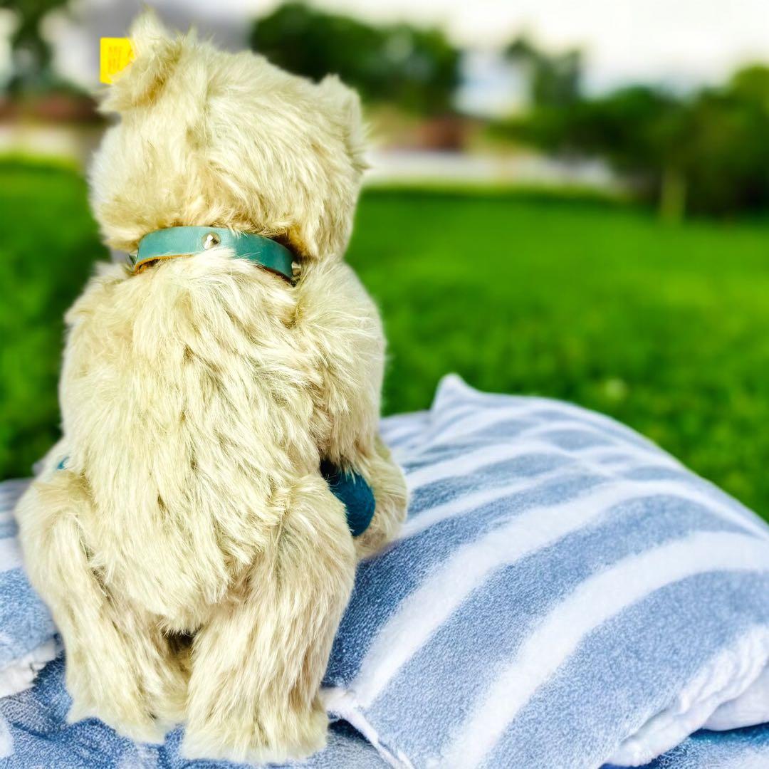 ゲール シュタイフ テディベア テディベビー 1929 復刻モデル 廃盤品