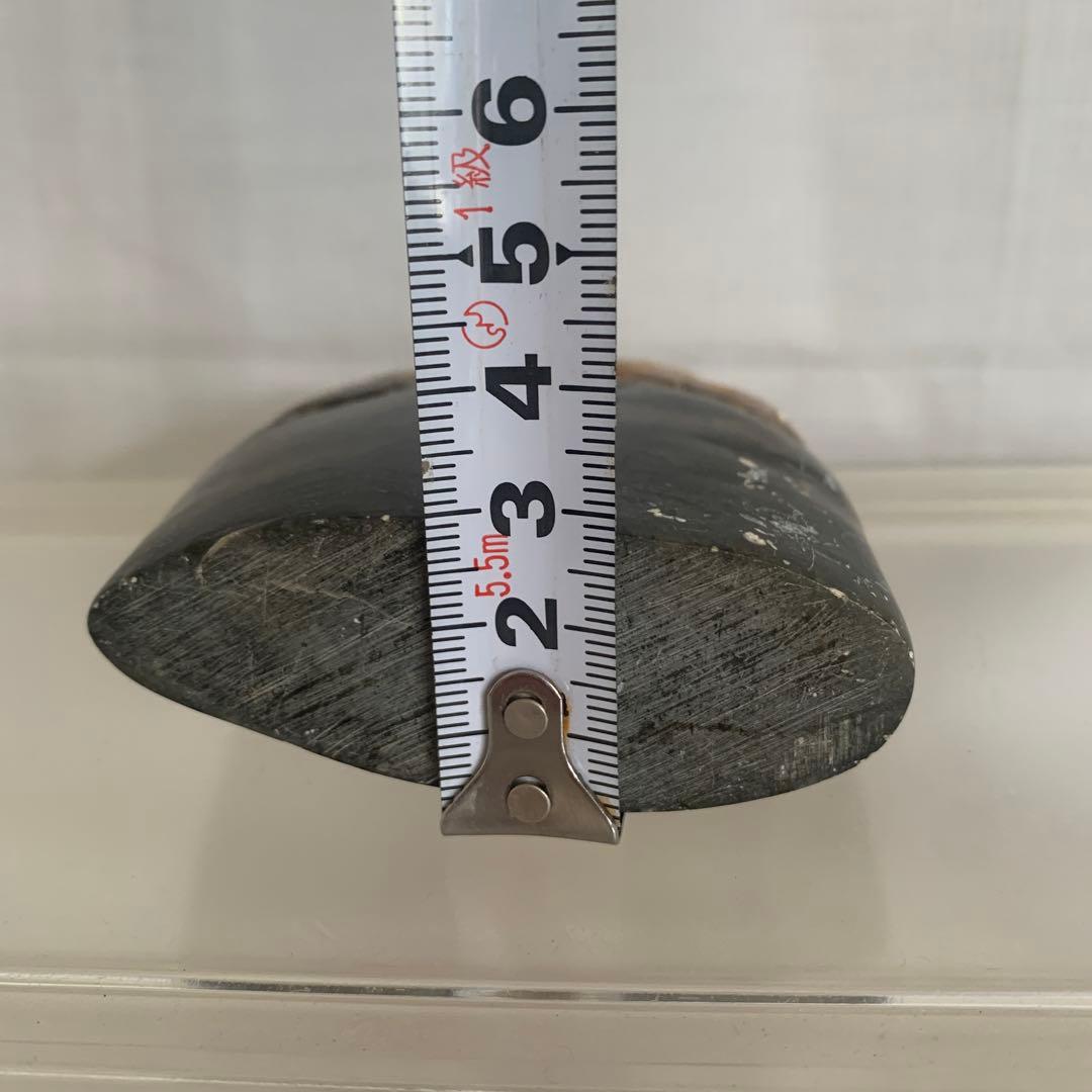 中国 寿山石 印材 森恐竜彫 8.5cm