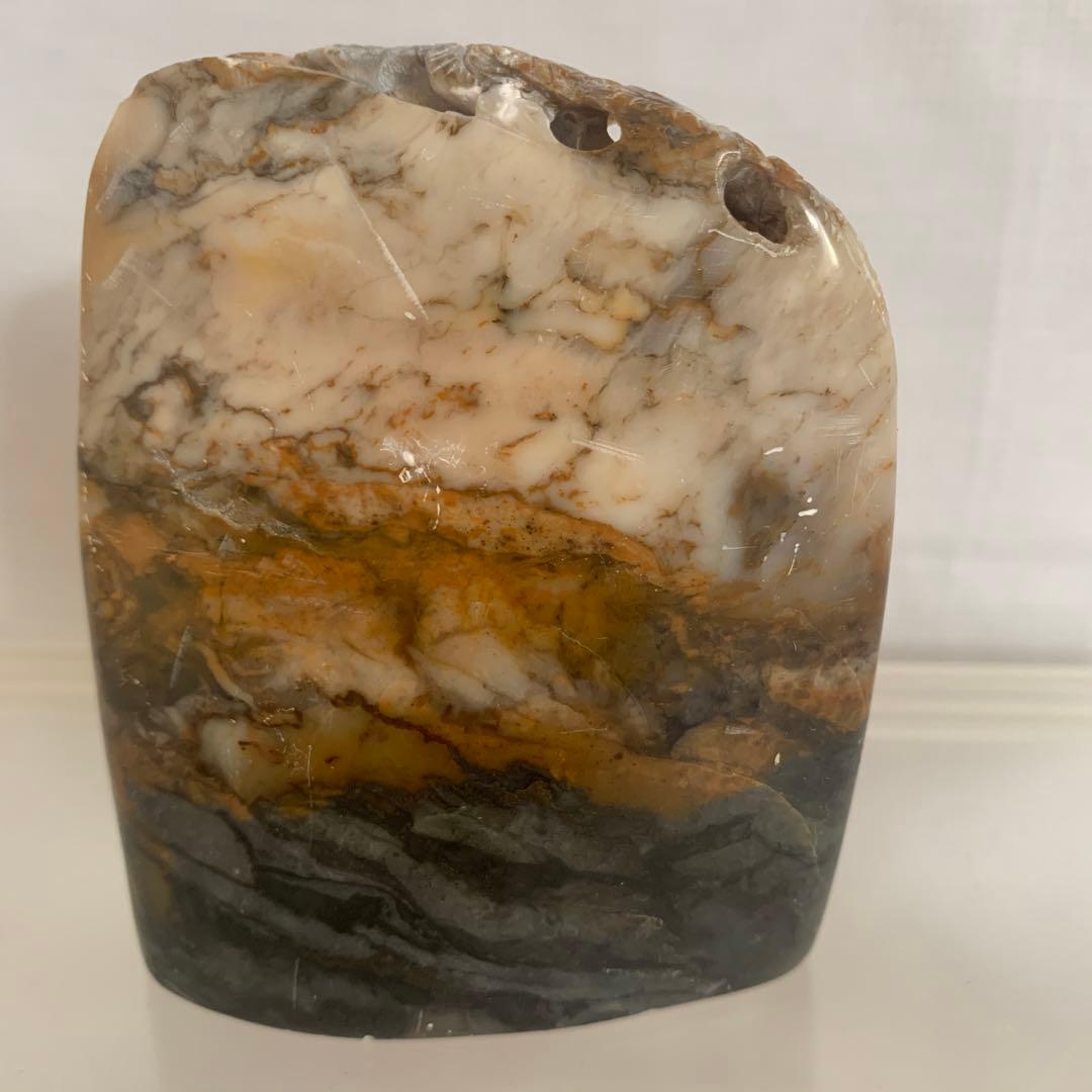中国 寿山石 印材 森恐竜彫 8.5cm