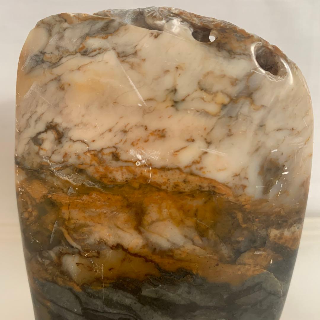 中国 寿山石 印材 森恐竜彫 8.5cm