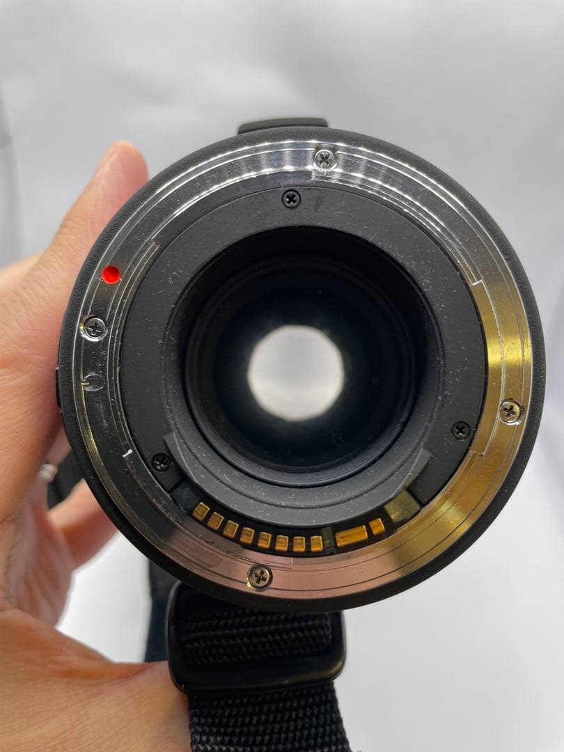 SIGMA 単焦点望遠レンズ APO 500mm F4.5 EX DG HSM