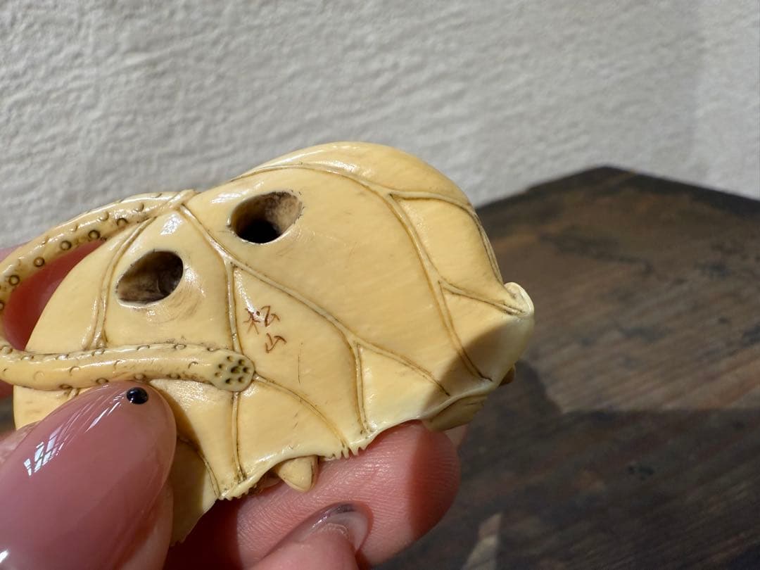 根付け　亀　蓮　象　牙