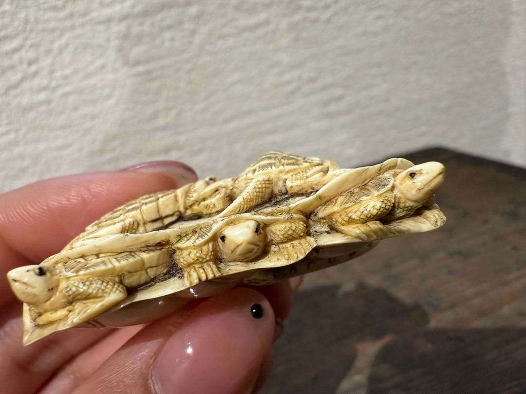 根付け　亀　蓮　象　牙