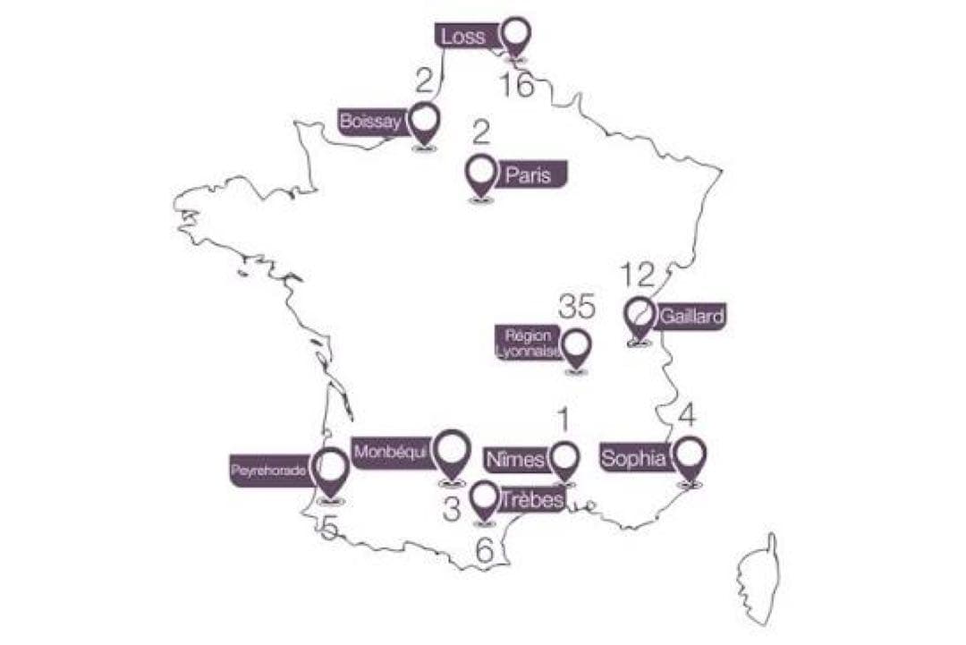 フランス製　ビンテージ特大テーブルクロスとテーブルナプキン10枚セット　新品札付