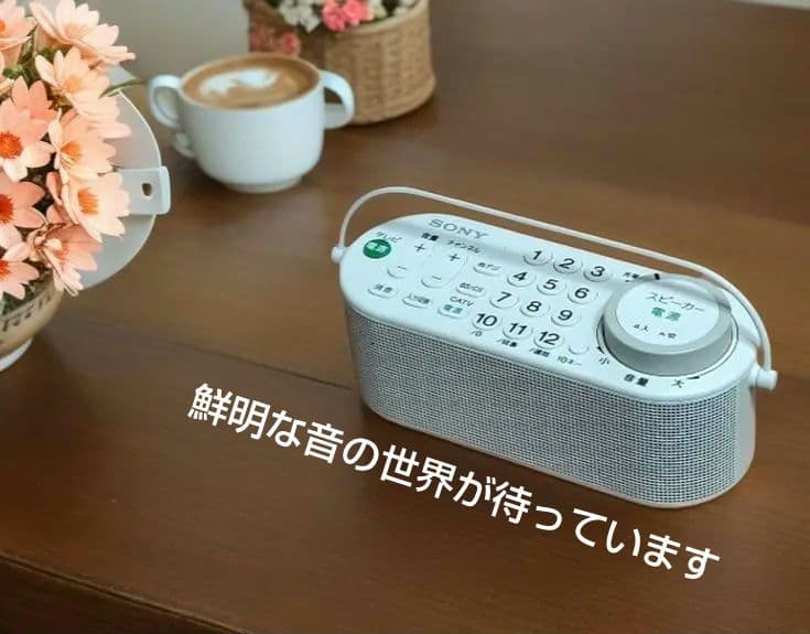 SONY SRS-LSR100 TVリモコン付ワイヤレスお手元スピーカー 美品