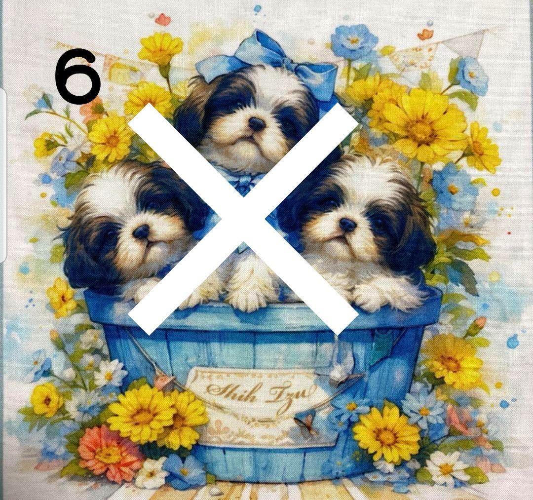 オーダー受付　シーズー　仲良し　ご予約ページ　5/18