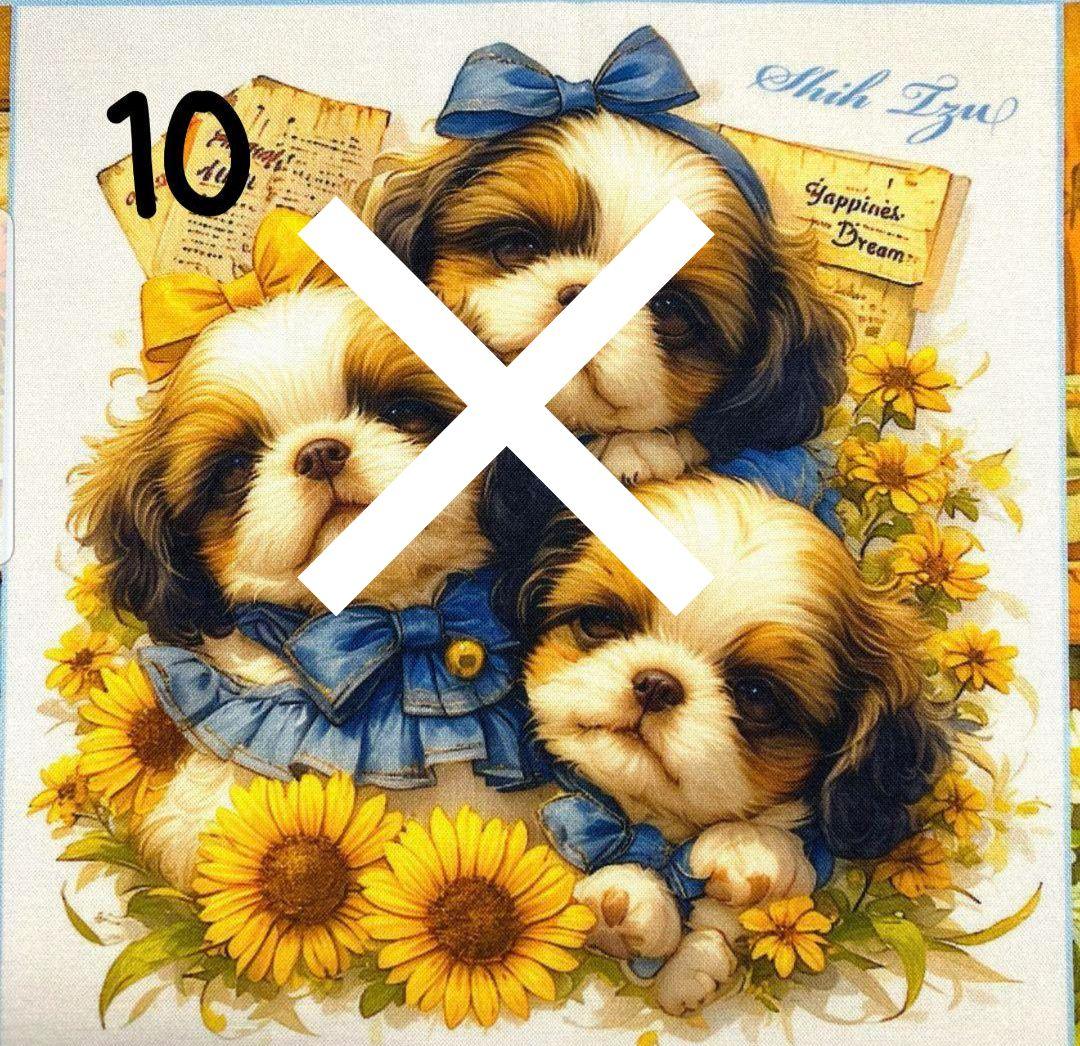 オーダー受付　シーズー　仲良し　ご予約ページ　5/18