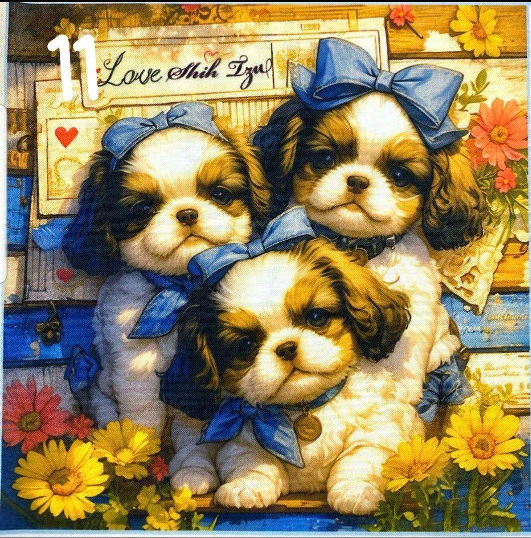 オーダー受付　シーズー　仲良し　ご予約ページ　5/18