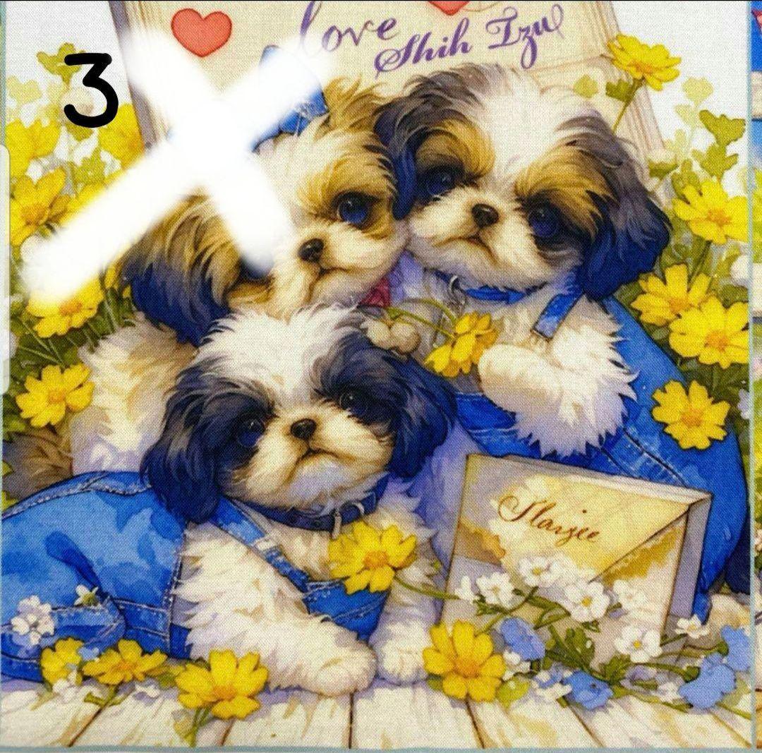 オーダー受付　シーズー　仲良し　ご予約ページ　5/18