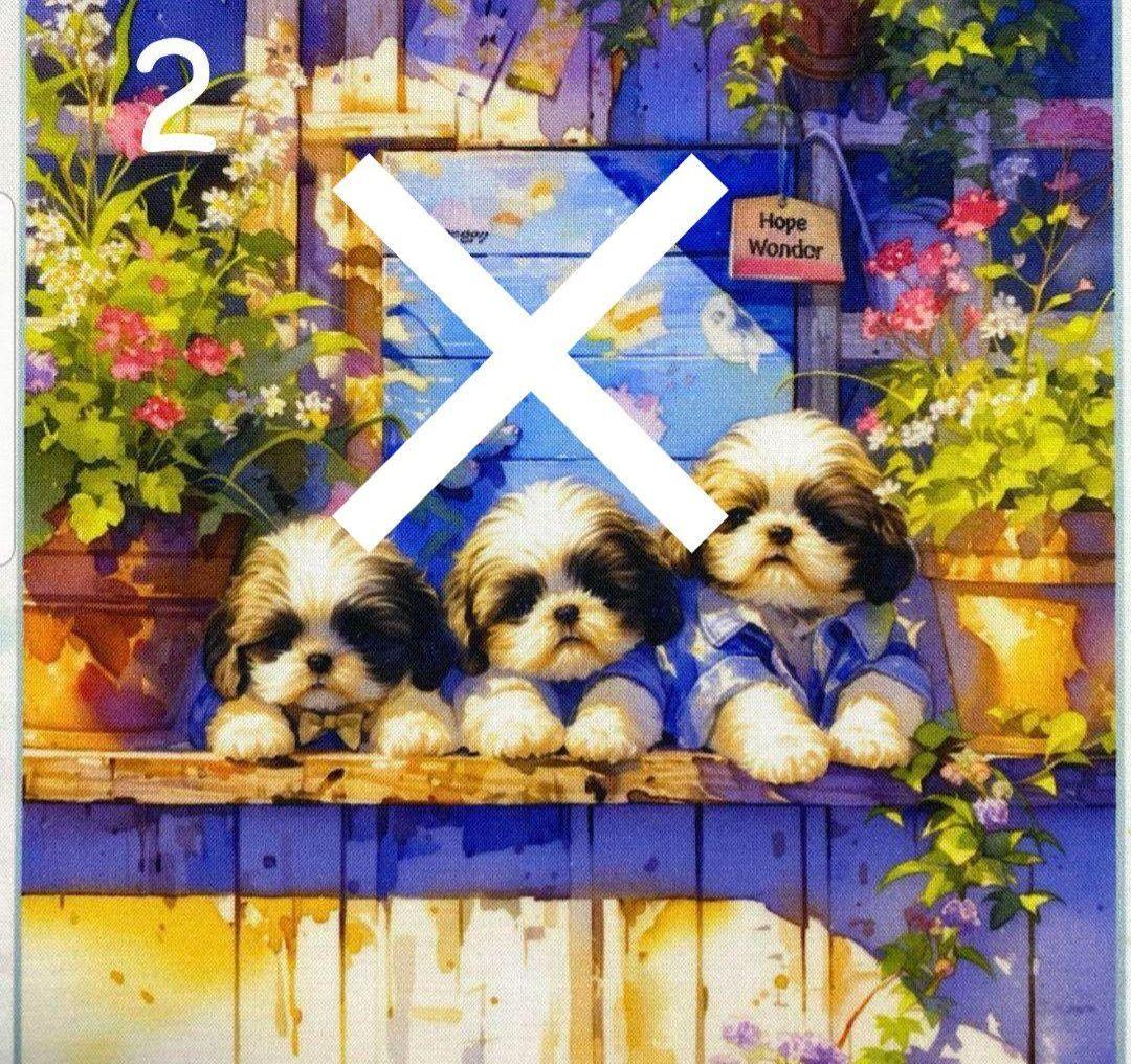 オーダー受付　シーズー　仲良し　ご予約ページ　5/18