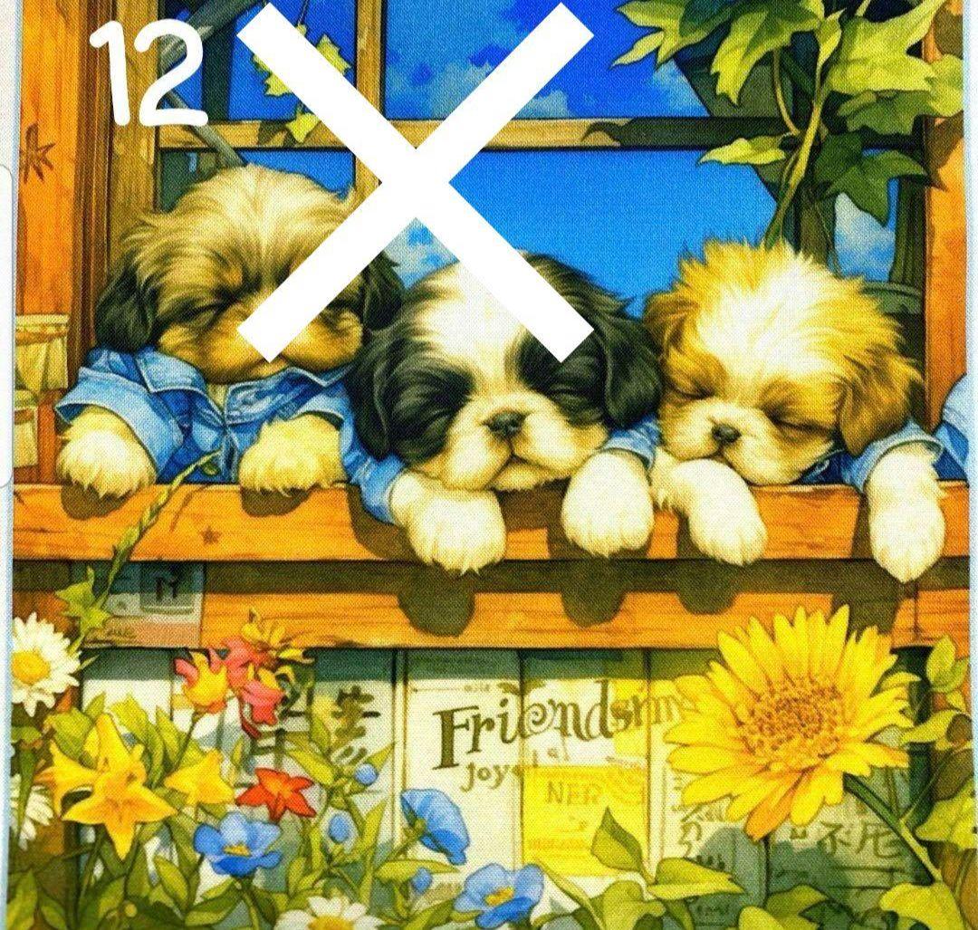 オーダー受付　シーズー　仲良し　ご予約ページ　5/18