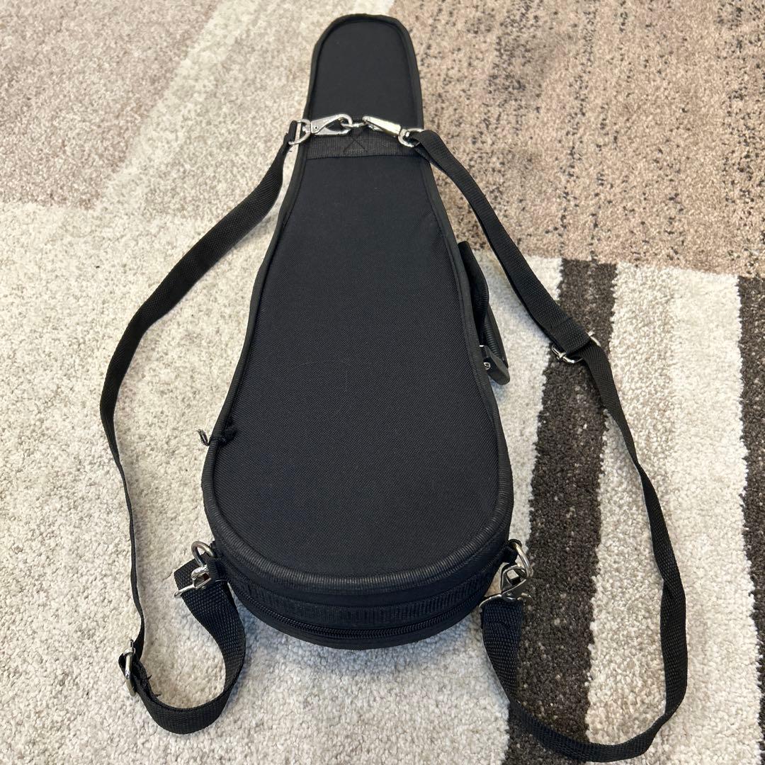 Andreas Eastman VL80 1/10 バイオリン