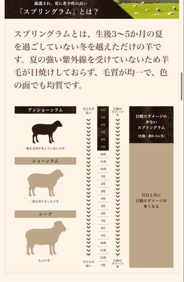 ダブル　東洋羽毛 ムートン 敷きパッド アリエス40 アンティークローズ タグ付