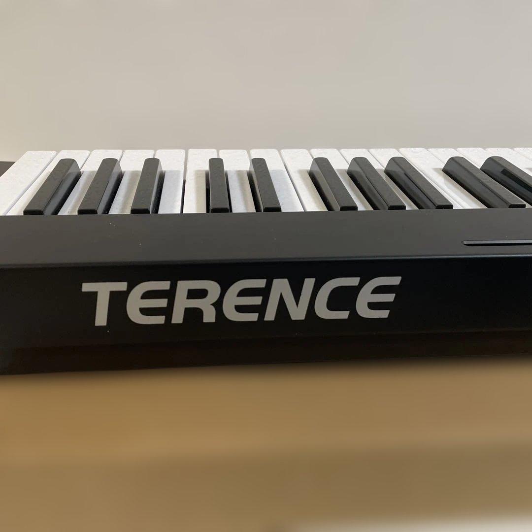 TERENCI TS-01 電子ピアノ