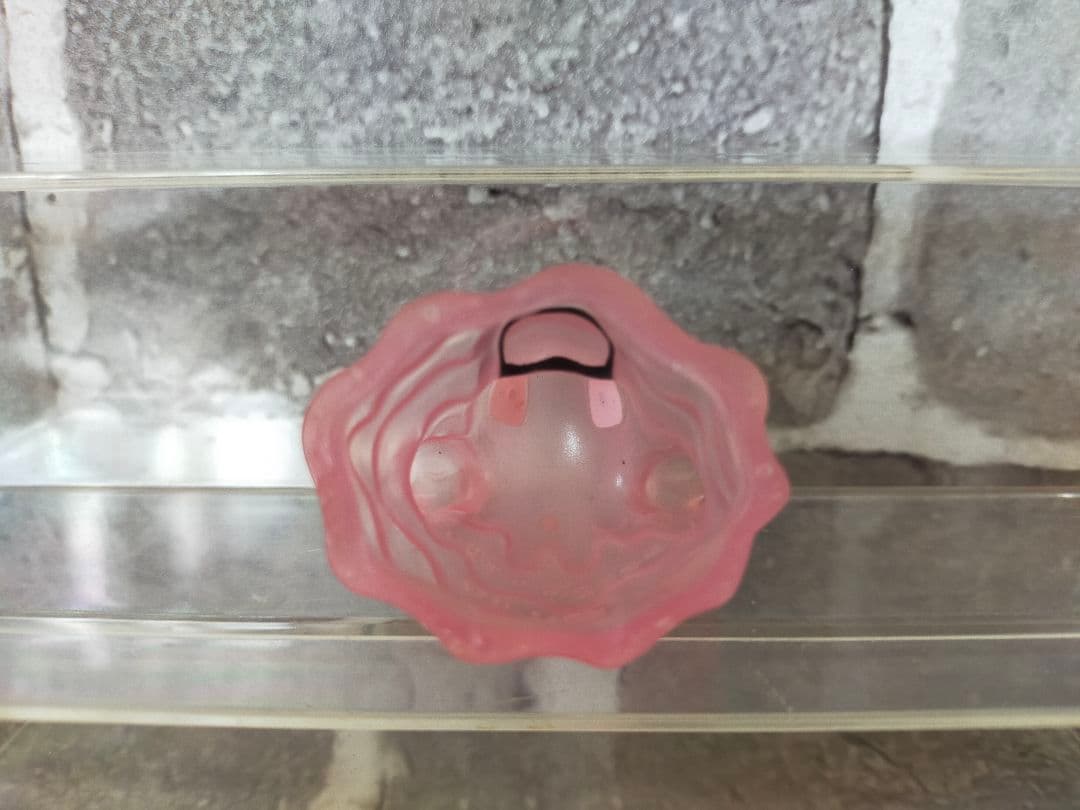 【美品】　ポケモンキッズ　指人形　ベトベター　クリア