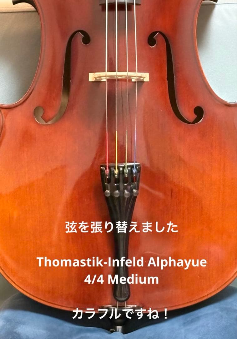 チェロ GOSHE SJC-303 弓とソフトケース付き