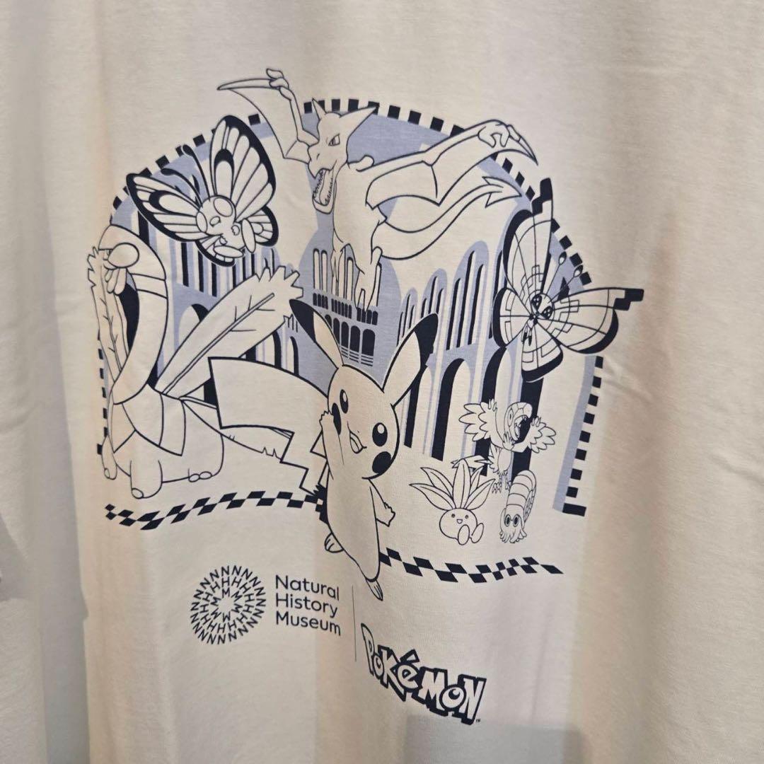 ポケモン ロンドン自然史博物館　ピカチュウ　Tシャツ　M