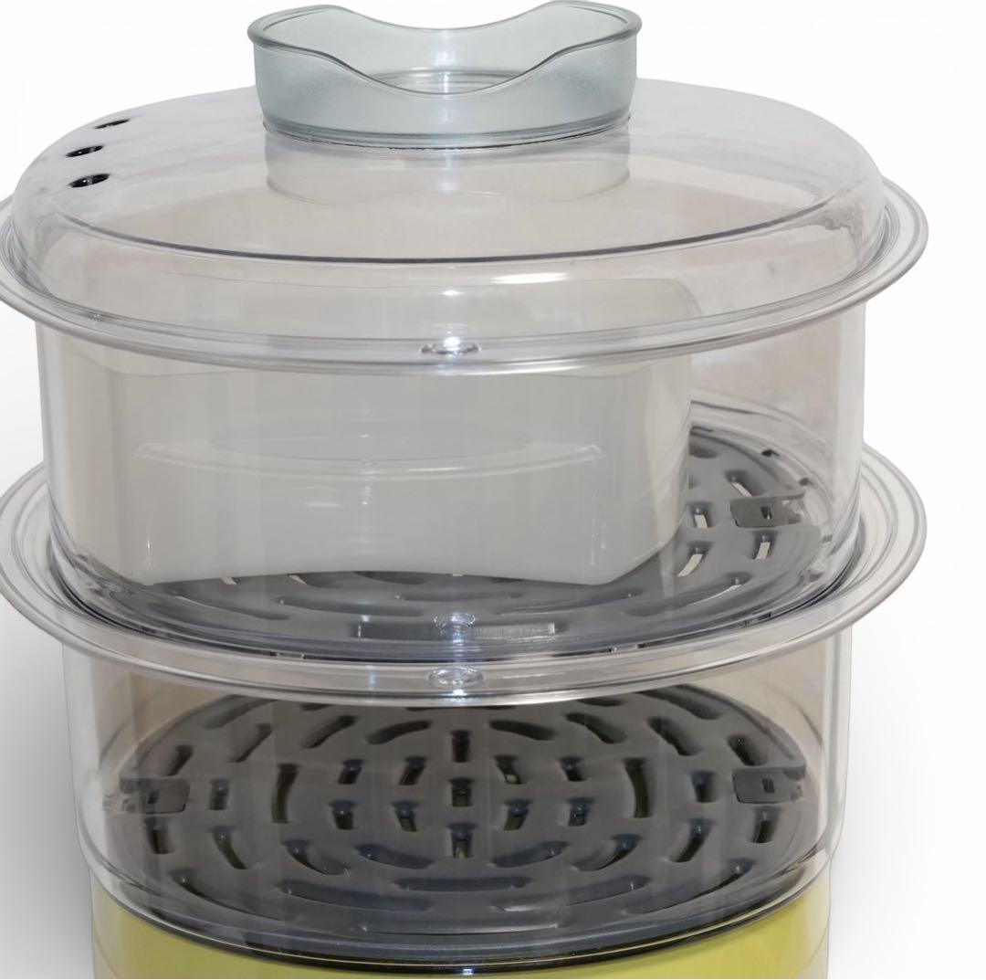 【美品】T-fal ウルトラコンパクトⅡ スチーマー