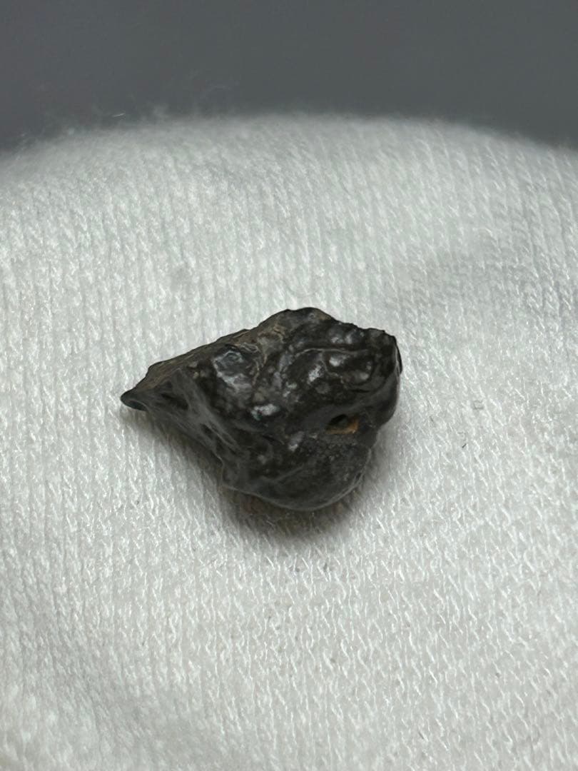 石質　隕石　NWA 16000　原石　炭素質　コンドライト　C3-ung　1g