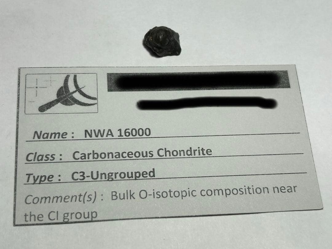 石質　隕石　NWA 16000　原石　炭素質　コンドライト　C3-ung　1g