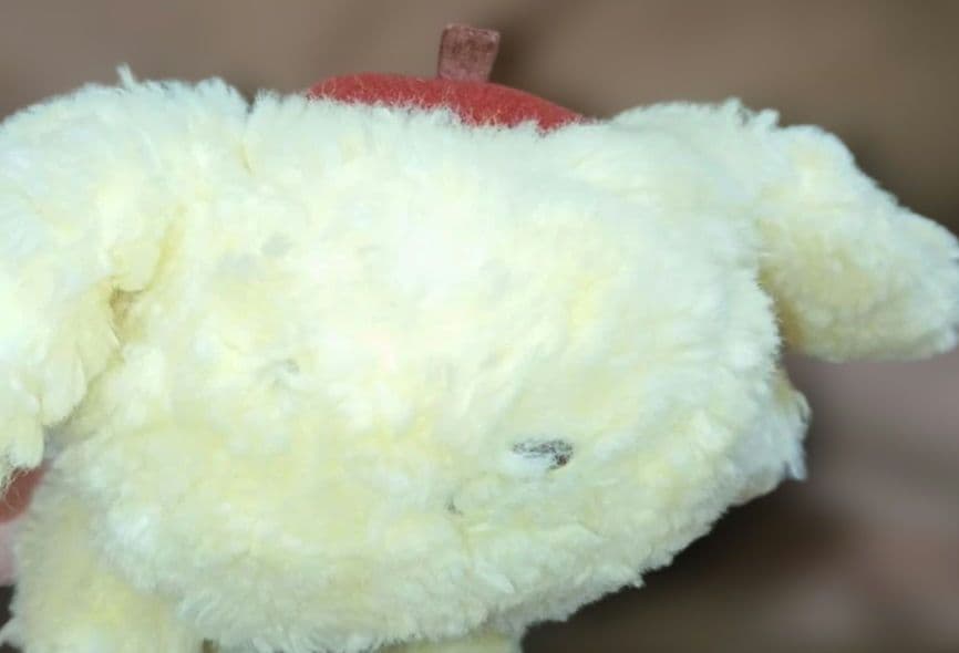 ポムポムプリン