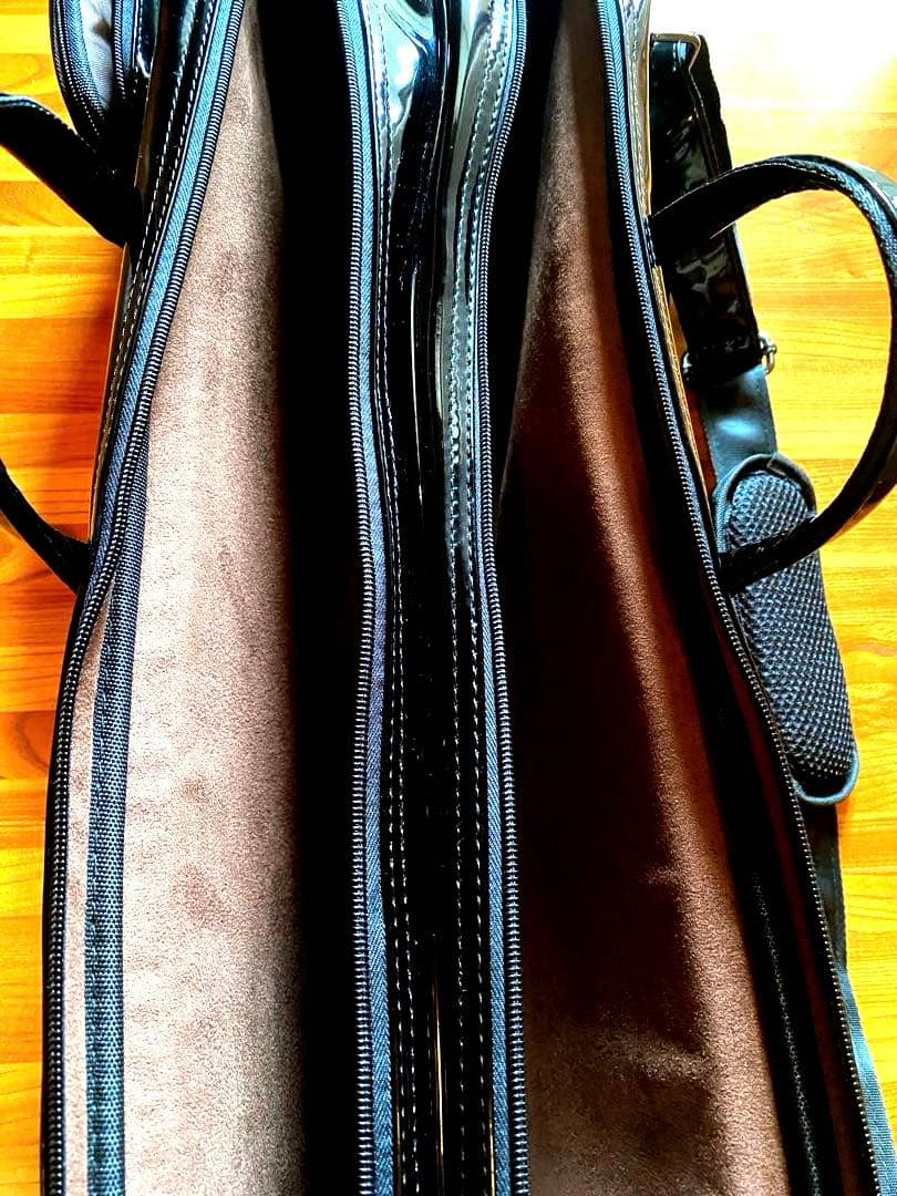 二胡セミハードケース２本入り